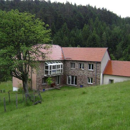 Gite Gretel De La Ferme Du Schneeberg Wangenbourg-Engenthal 외부 사진