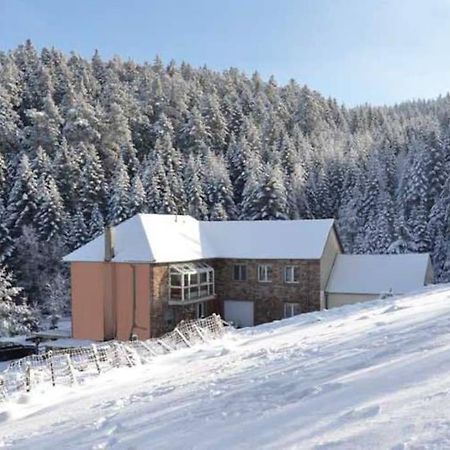 Gite Gretel De La Ferme Du Schneeberg Wangenbourg-Engenthal 외부 사진