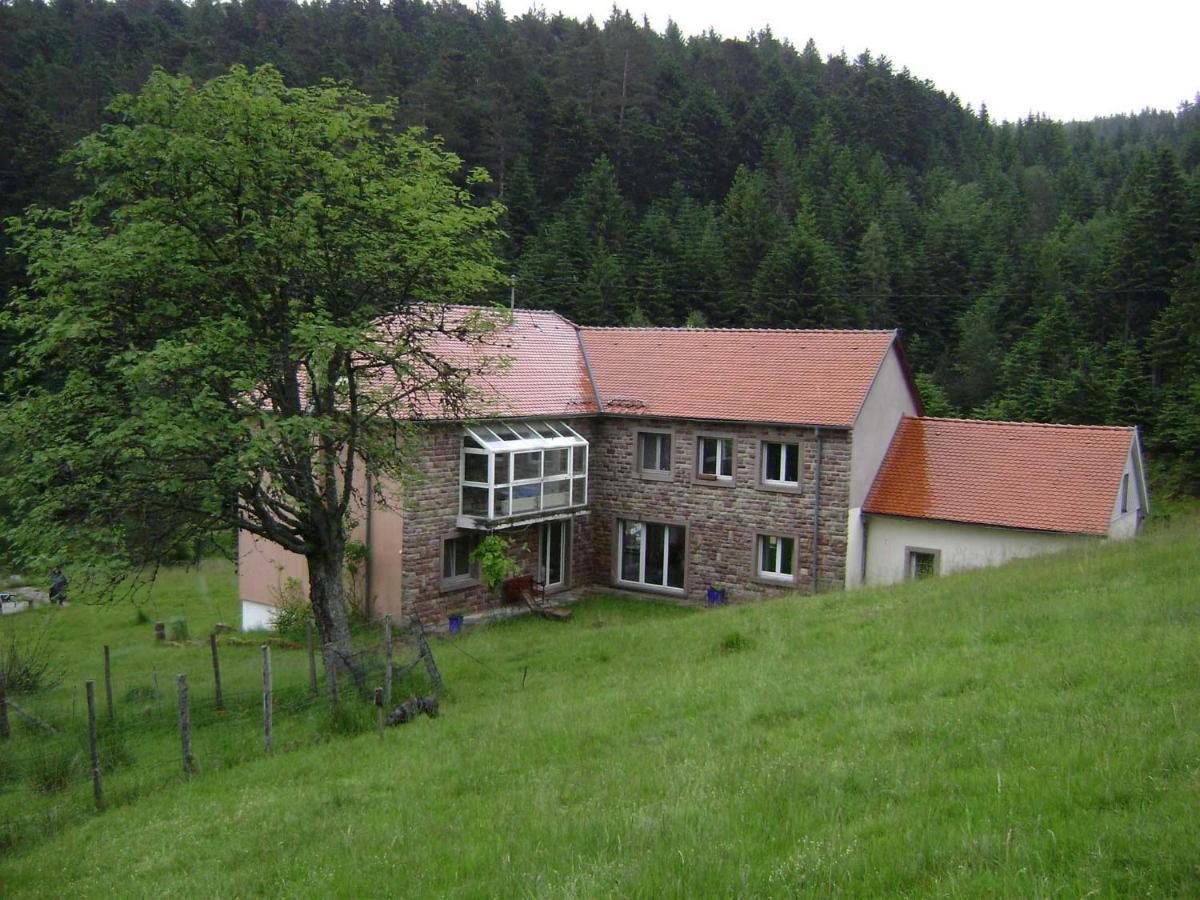 Gite Gretel De La Ferme Du Schneeberg Wangenbourg-Engenthal 외부 사진