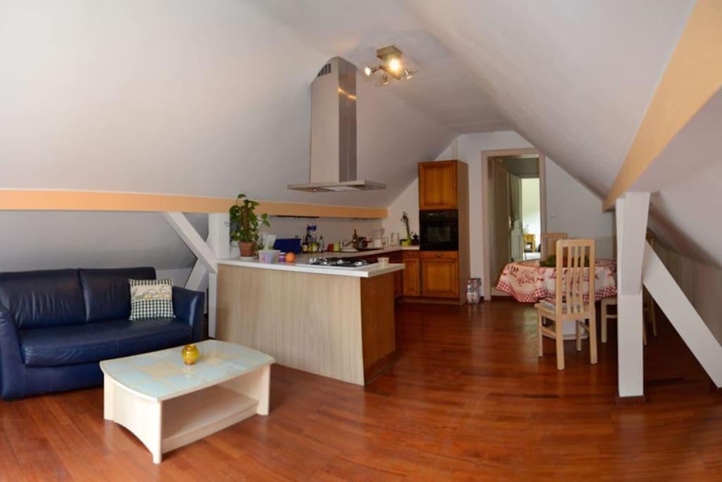 Gite Gretel De La Ferme Du Schneeberg Wangenbourg-Engenthal 외부 사진