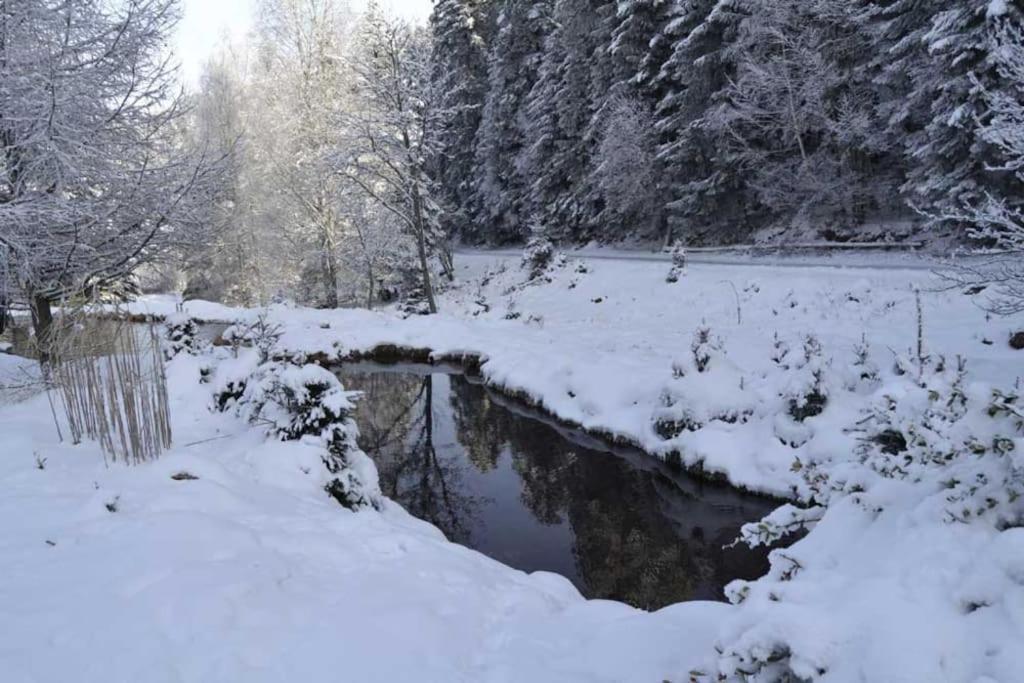 Gite Gretel De La Ferme Du Schneeberg Wangenbourg-Engenthal 외부 사진