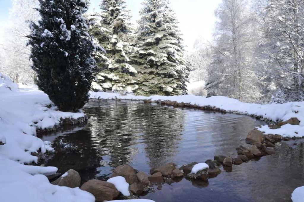 Gite Gretel De La Ferme Du Schneeberg Wangenbourg-Engenthal 외부 사진