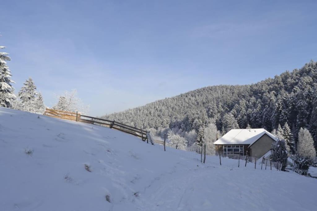 Gite Gretel De La Ferme Du Schneeberg Wangenbourg-Engenthal 외부 사진