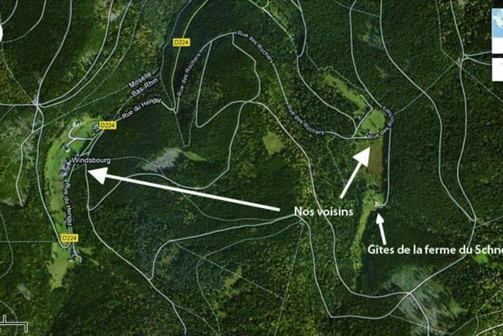 Gite Gretel De La Ferme Du Schneeberg Wangenbourg-Engenthal 외부 사진