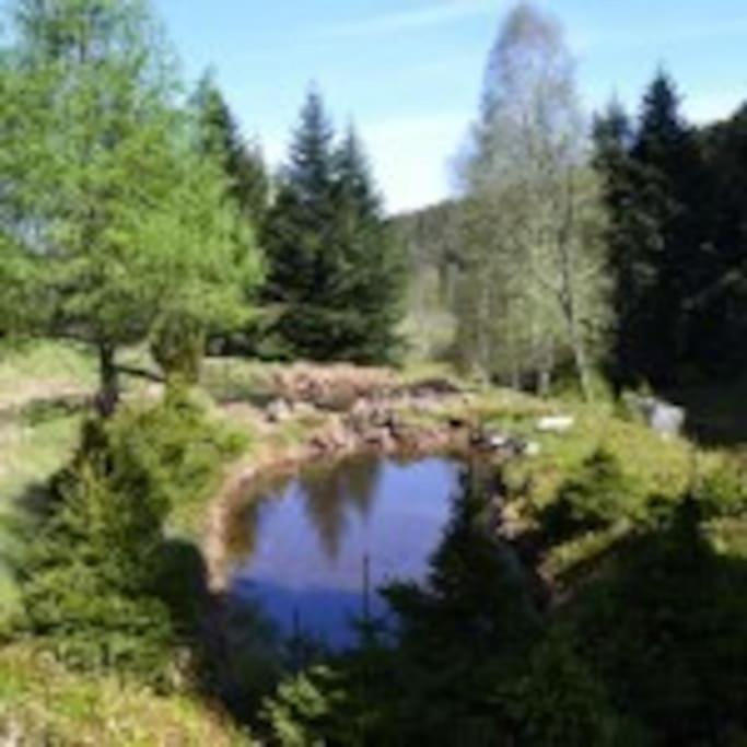 Gite Gretel De La Ferme Du Schneeberg Wangenbourg-Engenthal 외부 사진